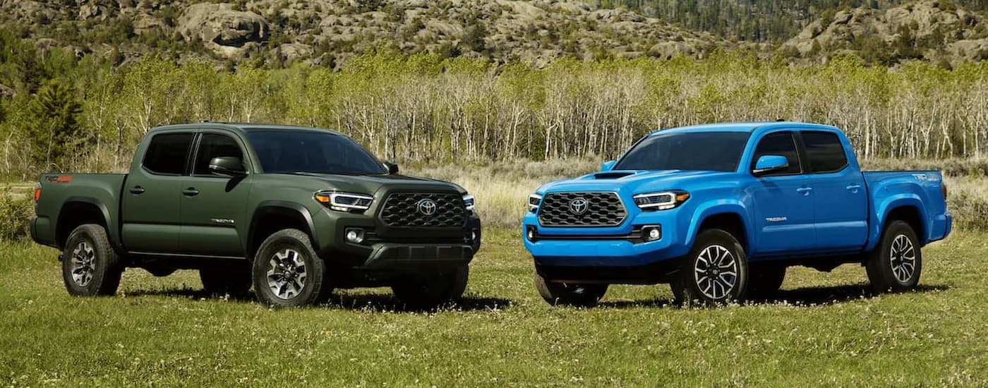 A green and a blue 2021 Toyota Tacoma are shown facing each other while parked in an open grassy field.
