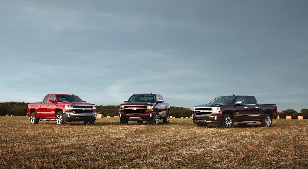 Three 2016 used Chevy Silverados are parked in a harvested field.
