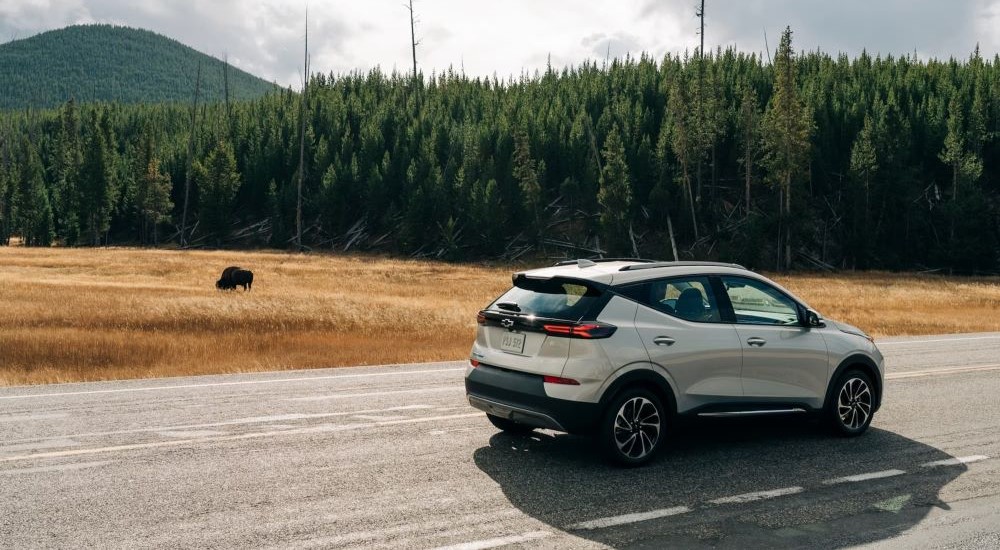 A silver 2023 Chevy Bolt EUV is shown driving past bison.