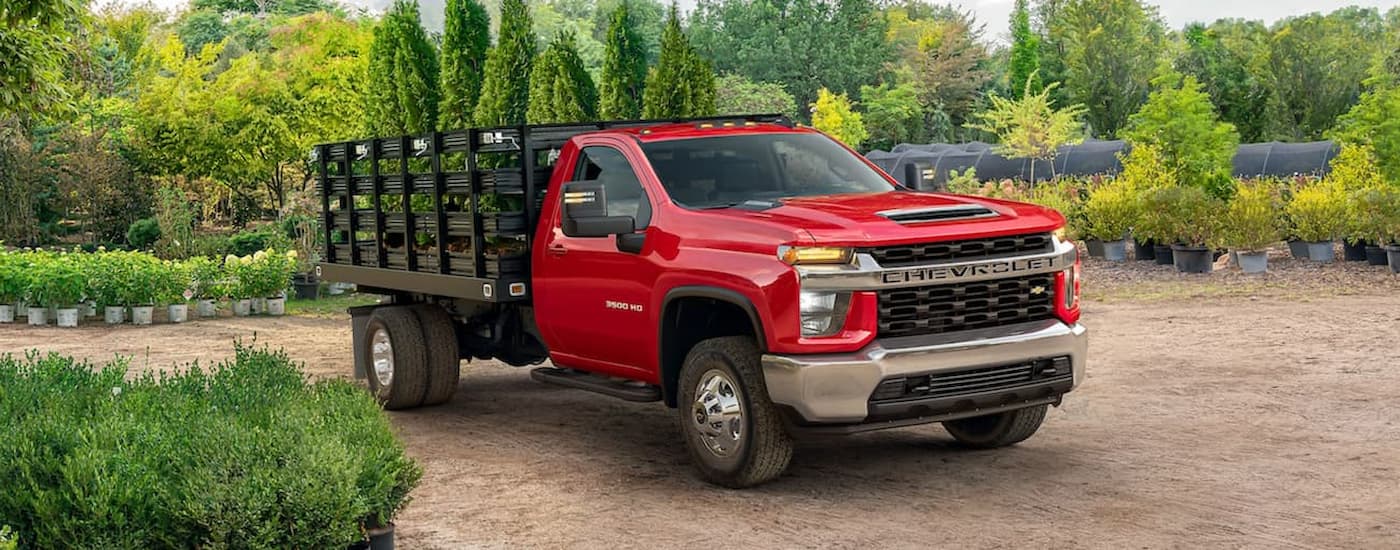 A red 2022 Chevy Silverado 3500HD Chassis Cab is shown at a plant nursery.